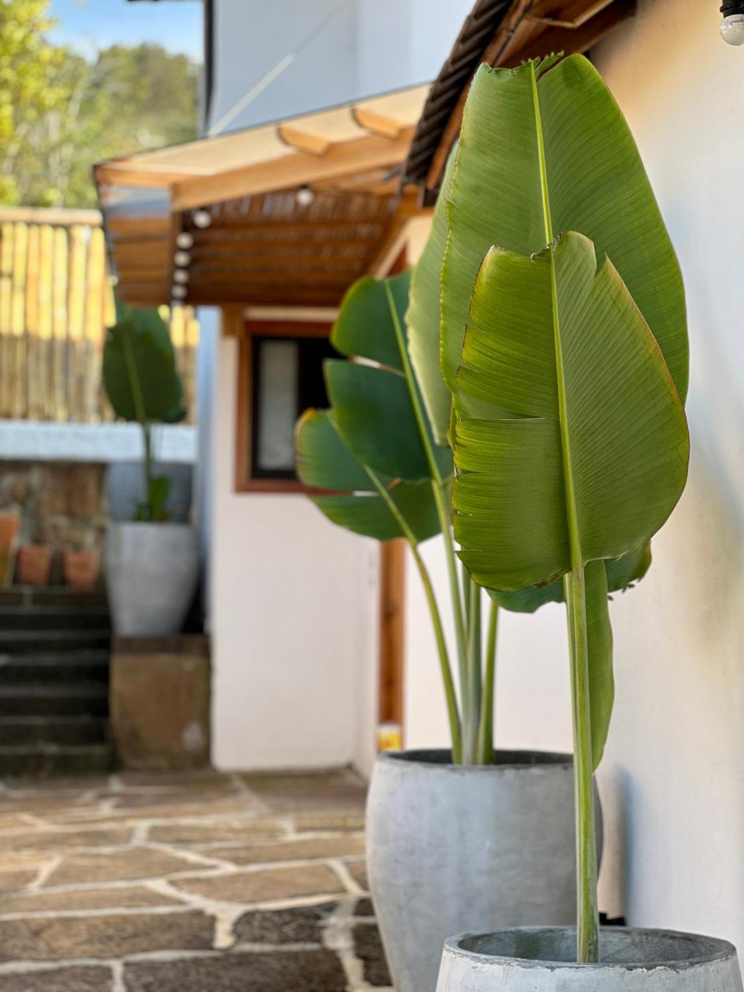 Hotel Campestre Palmas Del Zamorano San Gil Kültér fotó